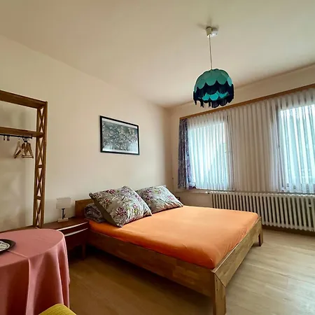 Goldner Stern קאוב