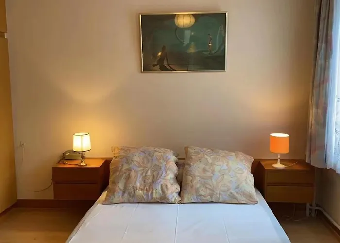 Goldner Stern Privatunterkunft Kaub